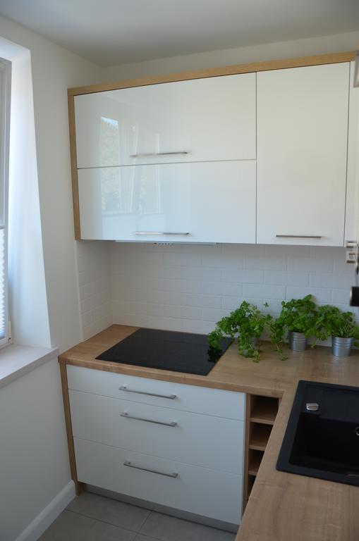 Apartament Na Starowce Grobla I Gdansk Oda fotoğraf
